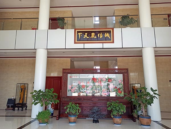 茄子视频懂你更多下载
